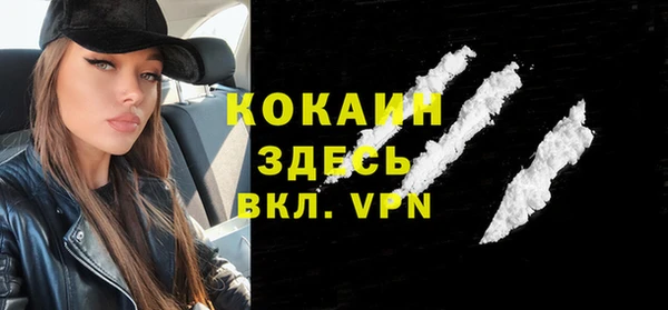прущая мука Вяземский