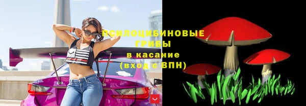 ECSTASY Верея