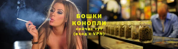 прущая мука Вяземский
