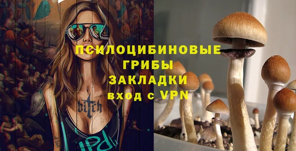 марки lsd Бородино