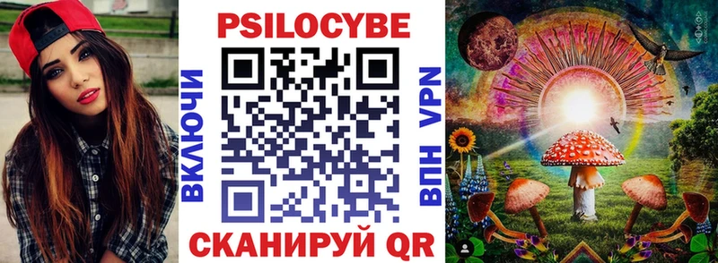 наркота  Ивдель  Псилоцибиновые грибы Psilocybe 